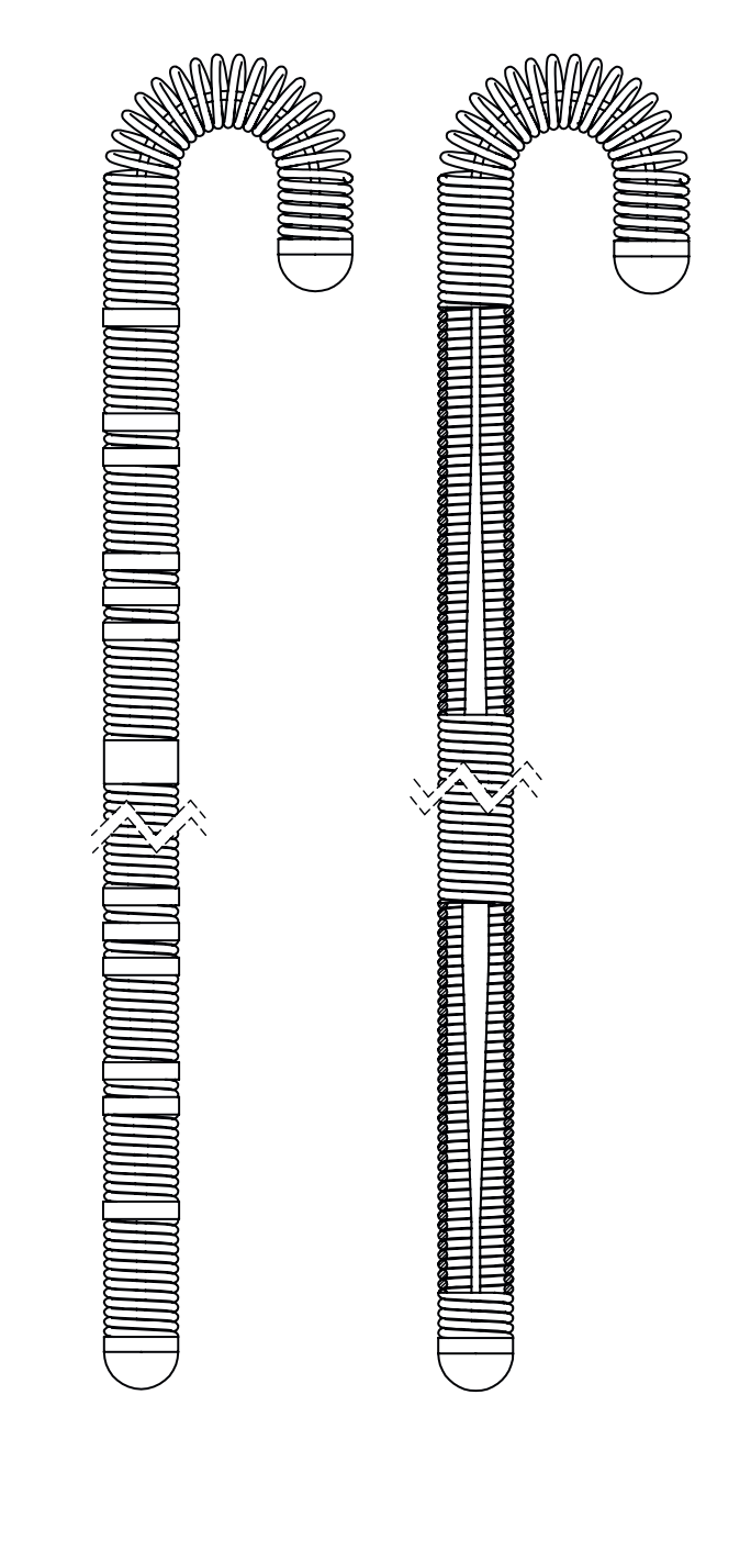 Accoat Guide Wire – Seldinger Double Ended