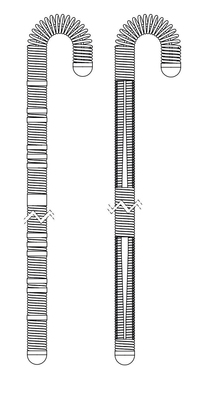 Accoat Guide Wire – Seldinger Double Ended